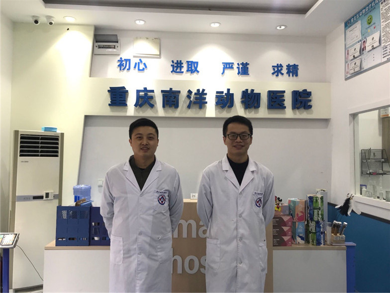 王先品，郑云照片