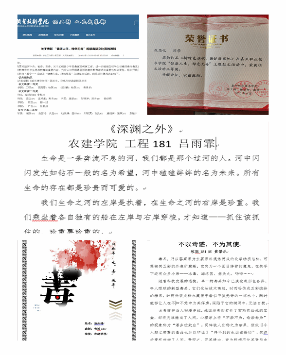 图片6